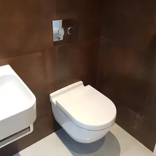 Close-coupled toilet in a completed bathroom